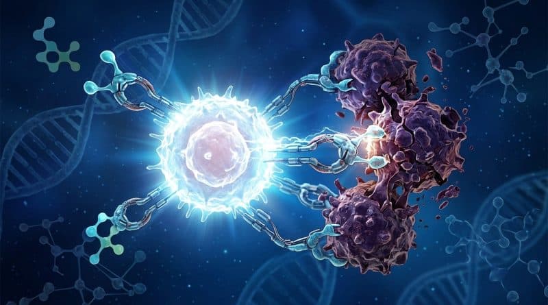 USC scientists cancer fighting cells breakthrough 2026 immune therapy research